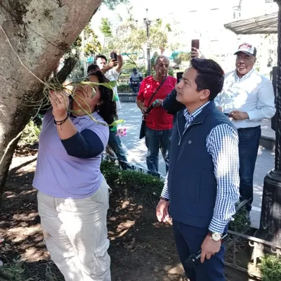 Coatepec inicia siembra de orquídeas; plantarán más de 100 ejemplares